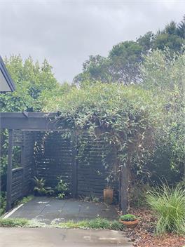 Whangaroa Casa Roca Studio - Northland