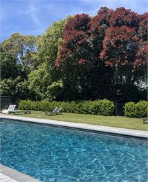 Waimoana coastal estate - Masterton