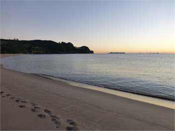 The Grove - Whangamata