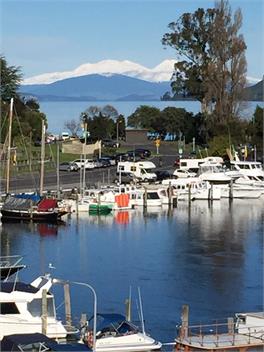 Beech Tree Cottage - Taupo