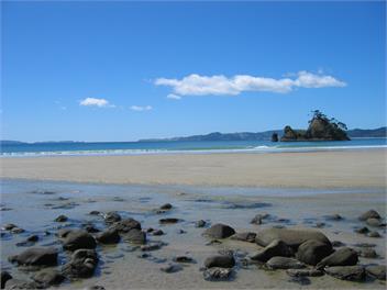 Cuvier Island View - Whitianga