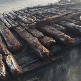 Kauri Kottage - Dargaville