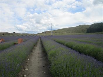 Twizel Alps Retreat - Twizel