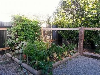 Ezy Walk (Bachcare) - Blenheim