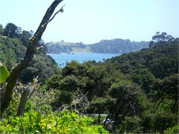 Bush Beach Delight (Bachcare) - Onetangi