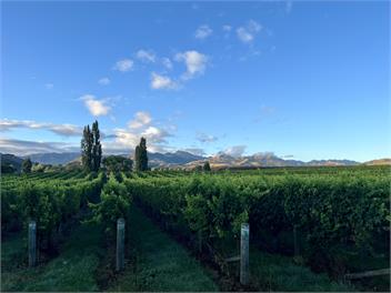 The Old Hawkesbury Cottage - Blenheim