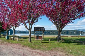Lakeside Treasure (Bachcare) - Mangakino