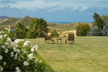 Cape South Estate - Havelock North
