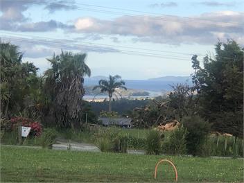 Driftwood - Mangawhai