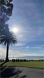 Dreamscape - Ohope