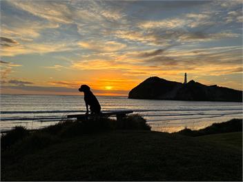 Waiwhare - On the Beach (Beach front property) - Castlepoint