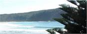 Top Surf Beach ..Central beach location. 521a Achilles Avenue - Coromandel 