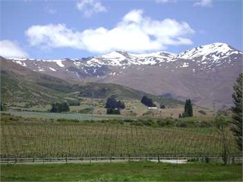 Award Winning Historic Warbrick Stone Cottage - Queenstown