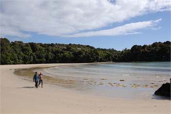 Kererū House - Rakiura/Stewart Island - Oban, Stewart Island