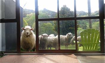 Linburn Farmstay - Gisborne