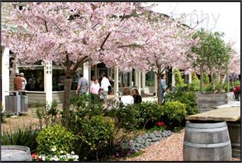 HURSTMERE COTTAGE - Matakana