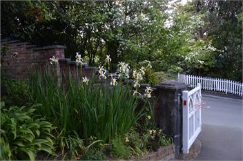 Walmer Apartment - Nelson