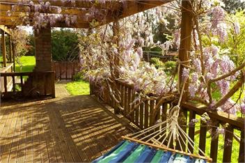 FishMore Cottage amidst our organic citrus orchard - Kerikeri