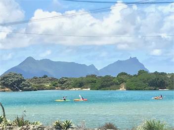 Marotere - Bream Bay