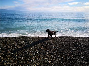 BOULDER BEACH WETREAT - Nelson 7071