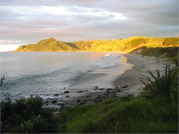 Cuvier Island View - Whitianga