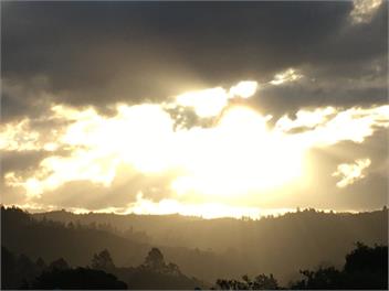 Tui Terrace - Tairua