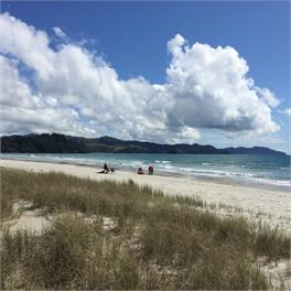 Matarangi - Rongotai  - Coromandel