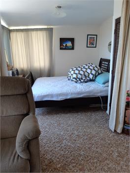 Hilltop Hideaway at Red Beach  - Whangaparoa Pennisula