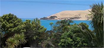 The Green Bach - Northland