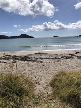 Oakura Bay Absolute-Beachfront Holiday Home - Northland