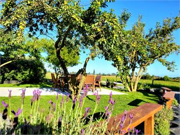 Lodge: Te Mahuru Retreat - Kaikoura