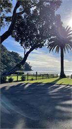 Dreamscape - Ohope