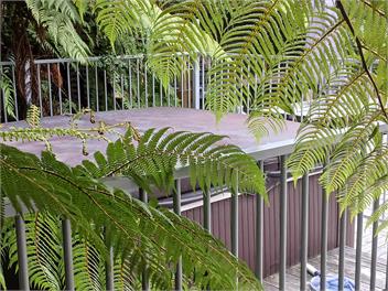 Our Lovelea Place  - Marlbourough Sounds