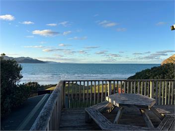 Waiwhare - On the Beach (Beach front property) - Castlepoint