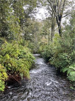 Awatea Chalet - Ohakune