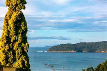 Tideview Cottage - Incredible Views - Tairua - 
