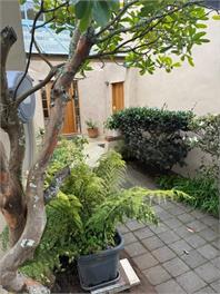 Entire guesthouse Milford Beach Auckland New Zealand - 