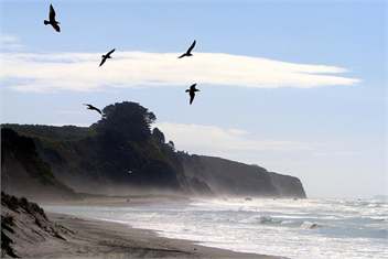 Pukehina Beach House - See Special Rates 2026 - Bay of Plenty
