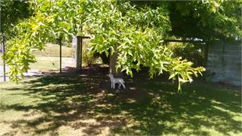 Christchurch Olive Grove Cottage WiFi & Kitchen - Christchurch