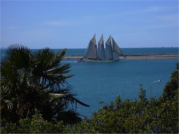Walmer Apartment - Nelson