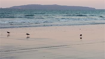 Beach retreat - Matarangi