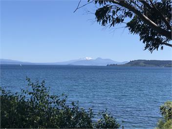 Beech Tree Cottage - Taupo