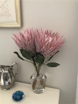 Protea Park Chalet - Kaitaia