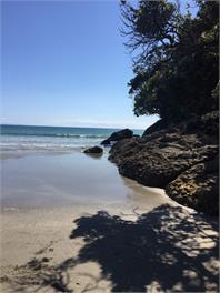 Matarangi - Rongotai  - Coromandel