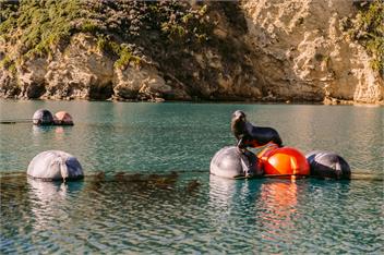Te Puka Bach - Stay Anakoha - Marlborough Sounds