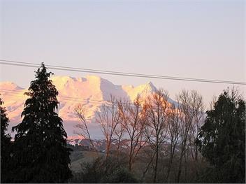 Mountain Revival (Bachcare) - Ohakune