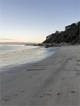 Stephens Bay Studio(green) -
