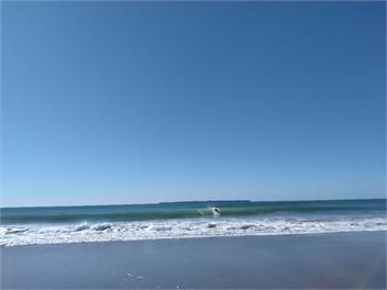 PIPI PALACE-Bach on Beach-Mt Maunganui. - TAURANGA