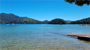 Lazy Days Down the Bay - Ngakuta Bay
