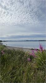 Podcast with a view - Ohope Beach